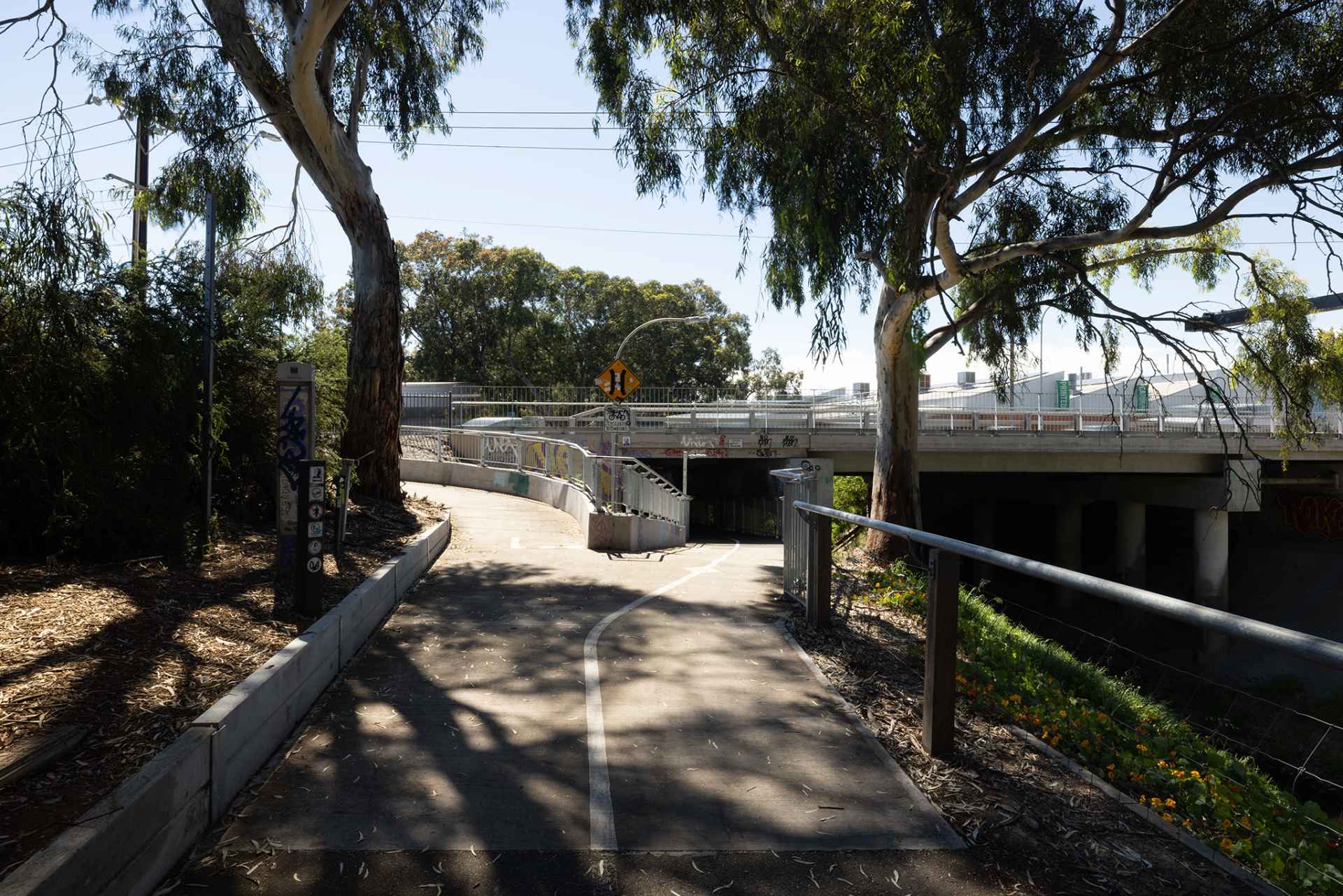 Taylor's Bridge from the River Torrens Linear Park Trail.